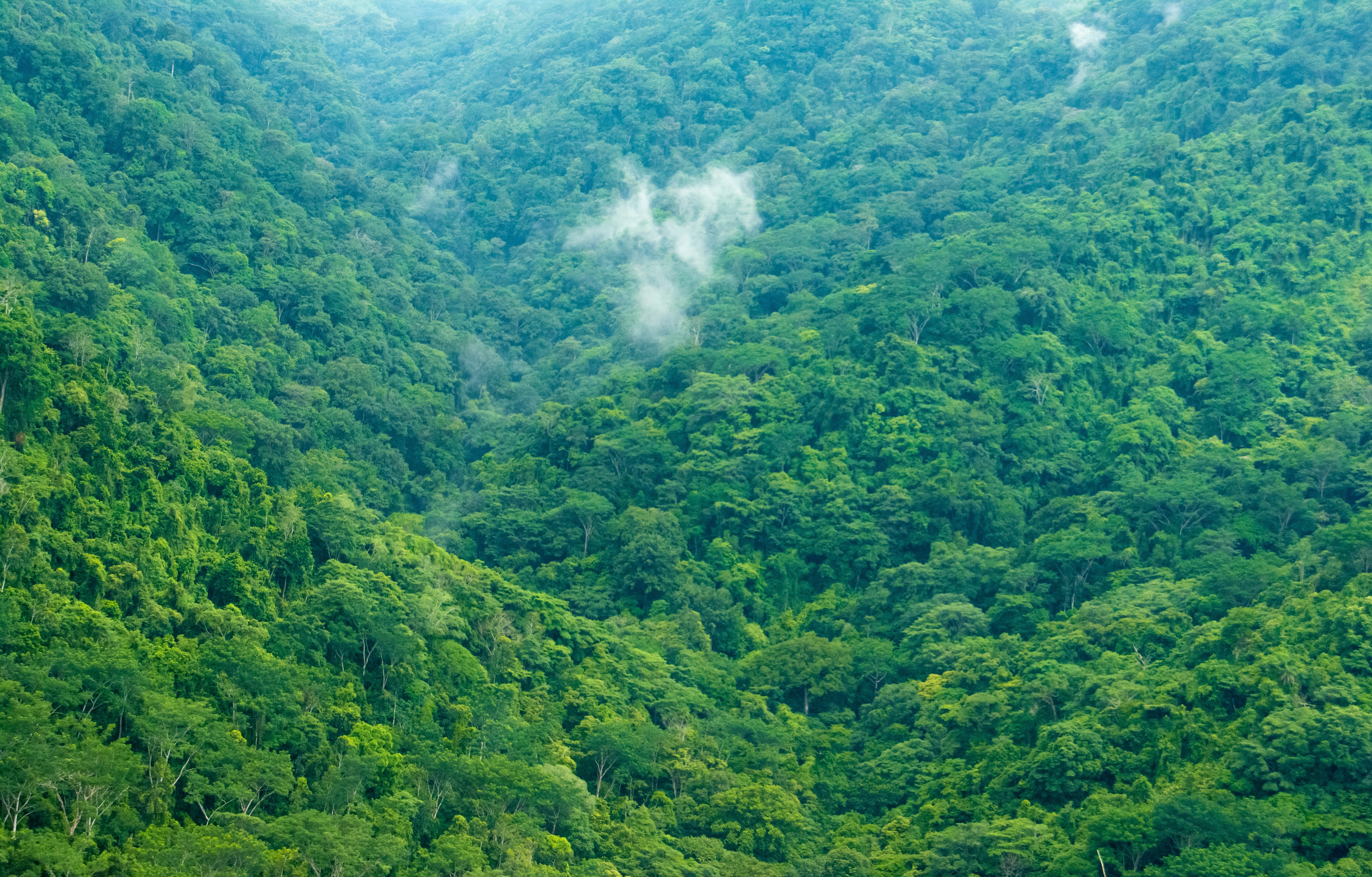 Naturaleza Costa Rica